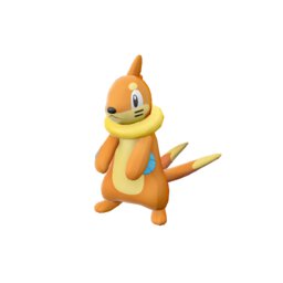 Buizel