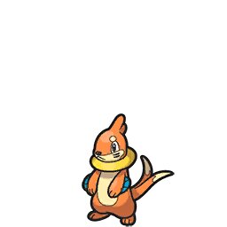 Buizel