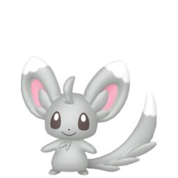 Minccino