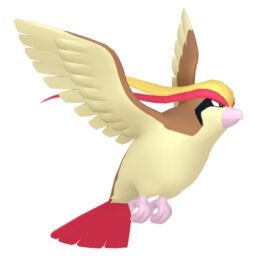 Pidgeot