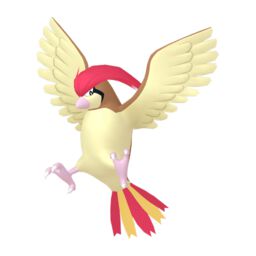 Pidgeotto normal sprite