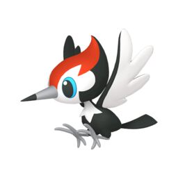 Pikipek