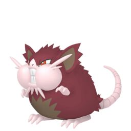 Alolan Raticate shiny sprite