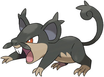 Alolan Rattata artwork by Ken Sugimori