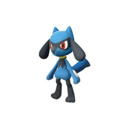 Riolu