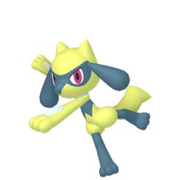 Riolu shiny sprite