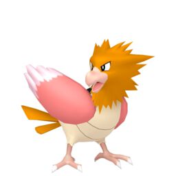 Spearow normal sprite