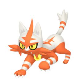 Torracat shiny sprite