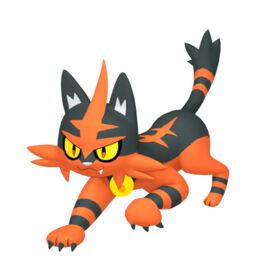 Torracat