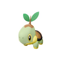 Turtwig