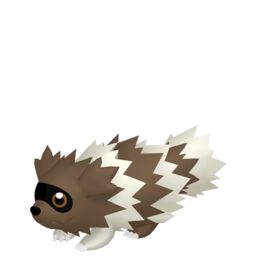 Zigzagoon