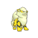 Arcanine Shiny sprite from Ultra Sun & Ultra Moon