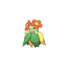 Bellossom