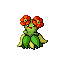 Bellossom