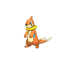 Buizel