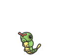 Caterpie