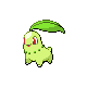 Chikorita