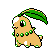 Chikorita