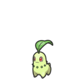 Chikorita