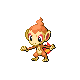 Chimchar