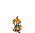 Chimchar