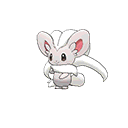 Cinccino