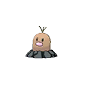 Diglett