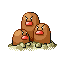 Dugtrio