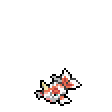 Goldeen