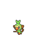 Grookey