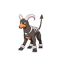 Houndoom