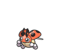 Ledyba