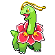 Meganium