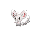 Minccino