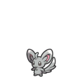 Minccino