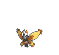 Mothim