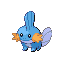 Mudkip