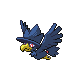 Murkrow