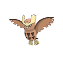 Noctowl