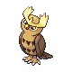 Noctowl