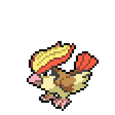 Pidgeot