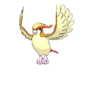 Pidgeot