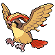 Pidgeot