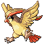 Pidgeot