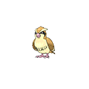 Pidgey