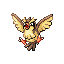 Pidgey