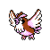 Pidgey