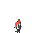 Pikipek