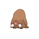 Piloswine