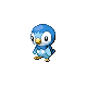 Piplup